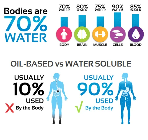 Body bar map