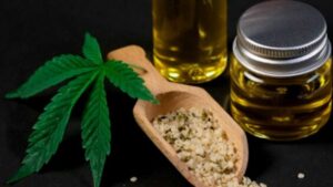 cannaverze article3 pic1